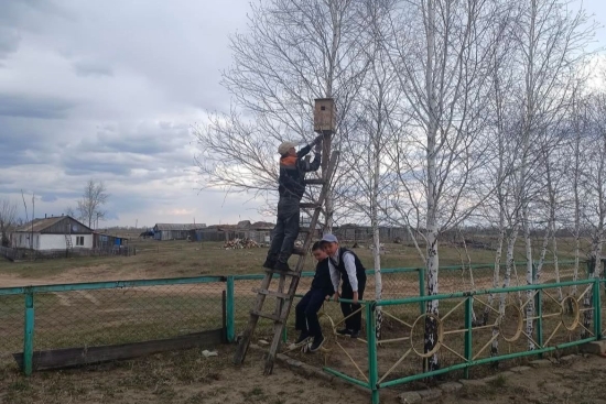 Еңбек сабағында балалар ата-аналарымен бірге құстарға арнап ұя жасап, ағаш бұтақтарына ілді.
